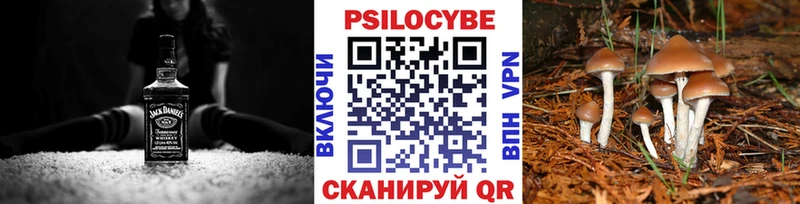 гидра tor даркнет сайт Новая Ладога Галлюциногенные грибы ЛСД